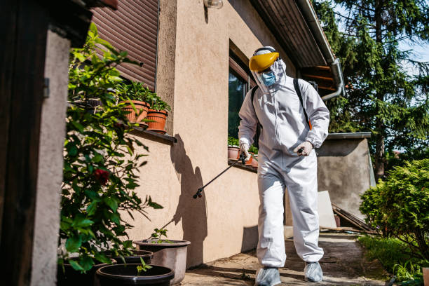 Best Ant Control Services  in Jackson, WI