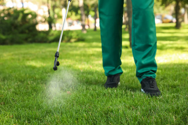 Best Local Pest Control Services  in Jackson, WI
