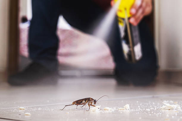 Best Residential Pest Control  in Jackson, WI